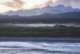 New Zealand 2025 (2 group) (13/84)